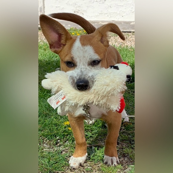 Meet your Posher, Michelle - Picture 3 of 6